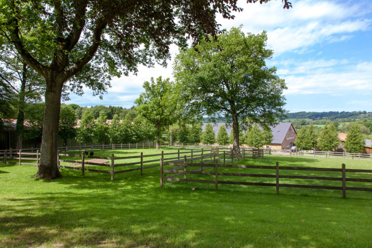 Domaine François Mathy